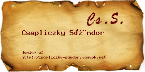 Csapliczky Sándor névjegykártya
